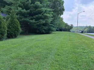 Matthew M.'s turf maintenance service result