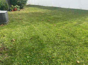 Sherri M.'s turf maintenance service result