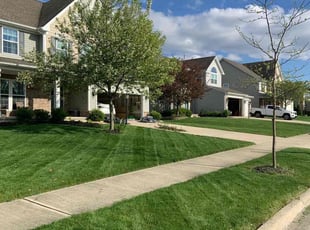 Raquel Q.'s lawn maintenance service result