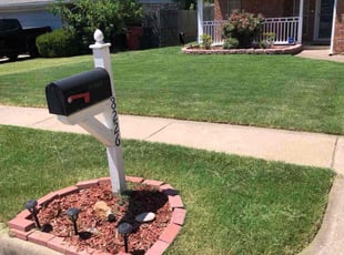 Jim L.'s turf care service result