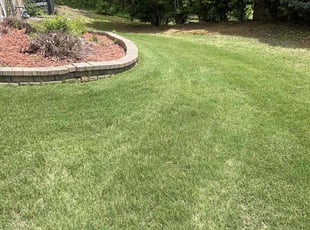 Andrea T.'s turf care service result