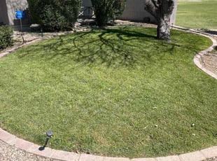 Gawana F.'s grass maintenance service result