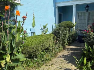 Helen F.'s Bush Trimming service result