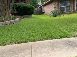 Antia H.'s lawn maintenance service result