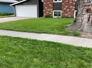 Jason P.'s grass cutting service result