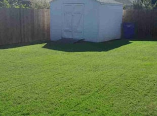 Michael B.'s lawn maintenance service result