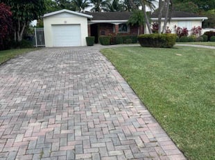 Chris M.'s turf care service result