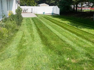 Jeryth P.'s lawn care service result
