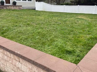 Cody D.'s lawn care services service result