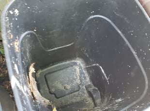 Martin B.'s Bush Trimming service result