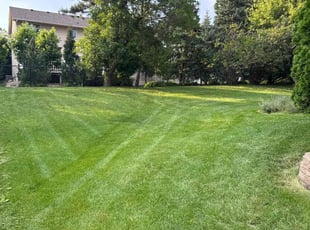 Camille C.'s lawn service service result