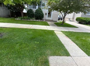 Janet B.'s turf maintenance service result