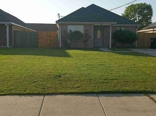 Mystique M.'s grass maintenance service result