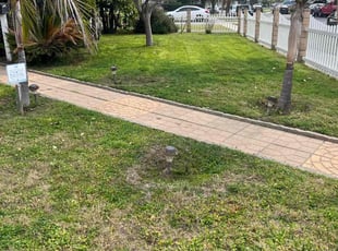 Ed T.'s grass maintenance service result