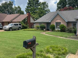 Vincent T.'s lawn care service result