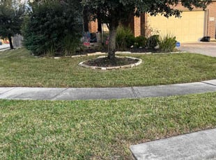 William L.'s lawn care service result