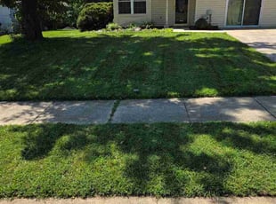 Agnete S.'s lawn maintenance service result