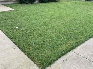 Harry H.'s turf care service result
