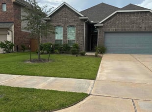 Atia N.'s grass maintenance service result