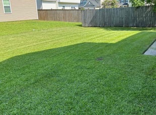 Heather B.'s turf maintenance service result