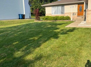 Quentin P.'s lawn care services service result