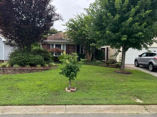 Tekishia C.'s grass maintenance service result