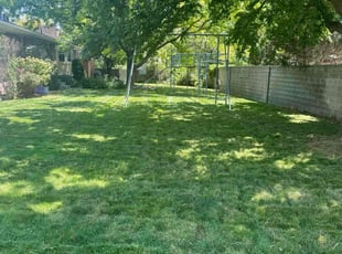 Angela W.'s lawn service service result