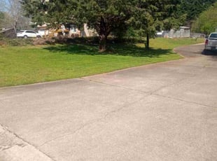 Yvette W.'s lawn care services service result