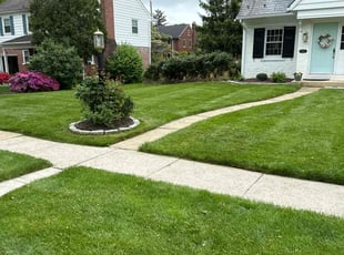 Chad P.'s lawn service service result