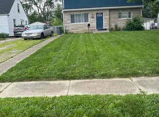 Dina L.'s grass maintenance service result