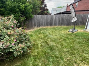 Lewis R.'s lawn care services service result