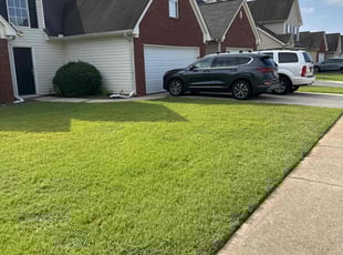 Rachael C.'s turf maintenance service result