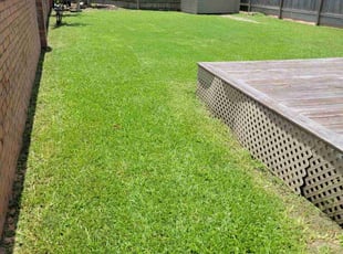 Joseph B.'s lawn care service result