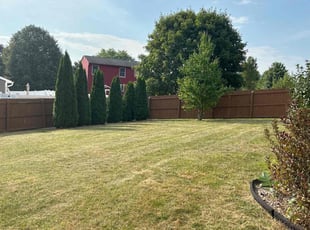 Dora K.'s turf care service result