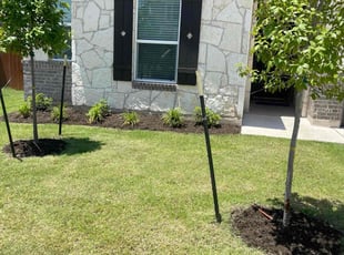 Elizabeth S.'s Flower Bed Weeding service result