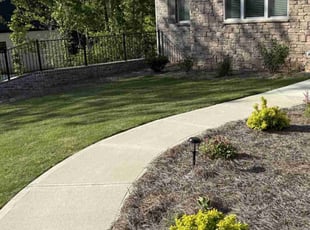 Abigail S.'s turf maintenance service result