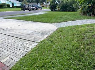 Brianna K.'s turf maintenance service result