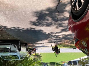 Ashley J.'s lawn care services service result