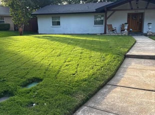 Gary S.'s grass cutting service result
