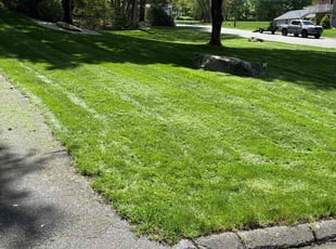 Nathan B.'s turf care service result