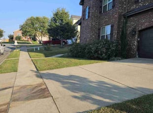 Terry M.'s lawn care service result