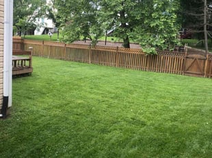 Zach G.'s grass maintenance service result
