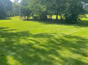 Mark S.'s lawn service service result
