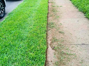 Kim K.'s turf care service result