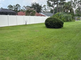 Sherry F.'s turf care service result