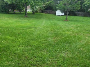 Billie H.'s grass cutting service result