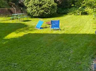 Henry P.'s turf care service result