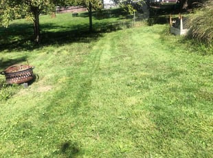 Tim B.'s grass maintenance service result