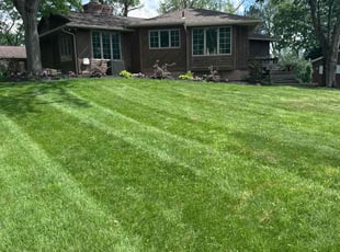Sunday P.'s lawn maintenance service result