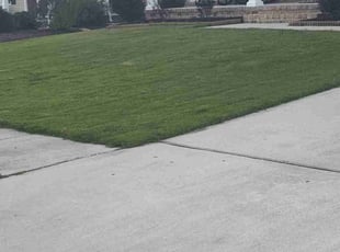 Marvin M.'s lawn care services service result